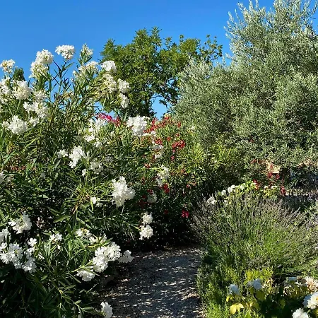 Mas Des Olives Bédoin