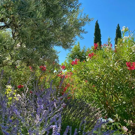 Bed & Breakfast Mas Des Olives *